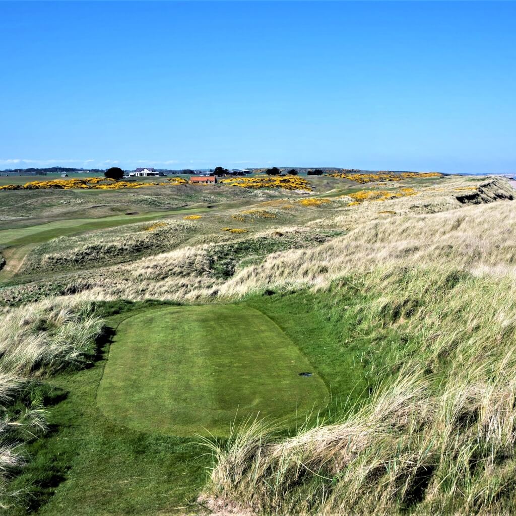 Royal Aberdeen