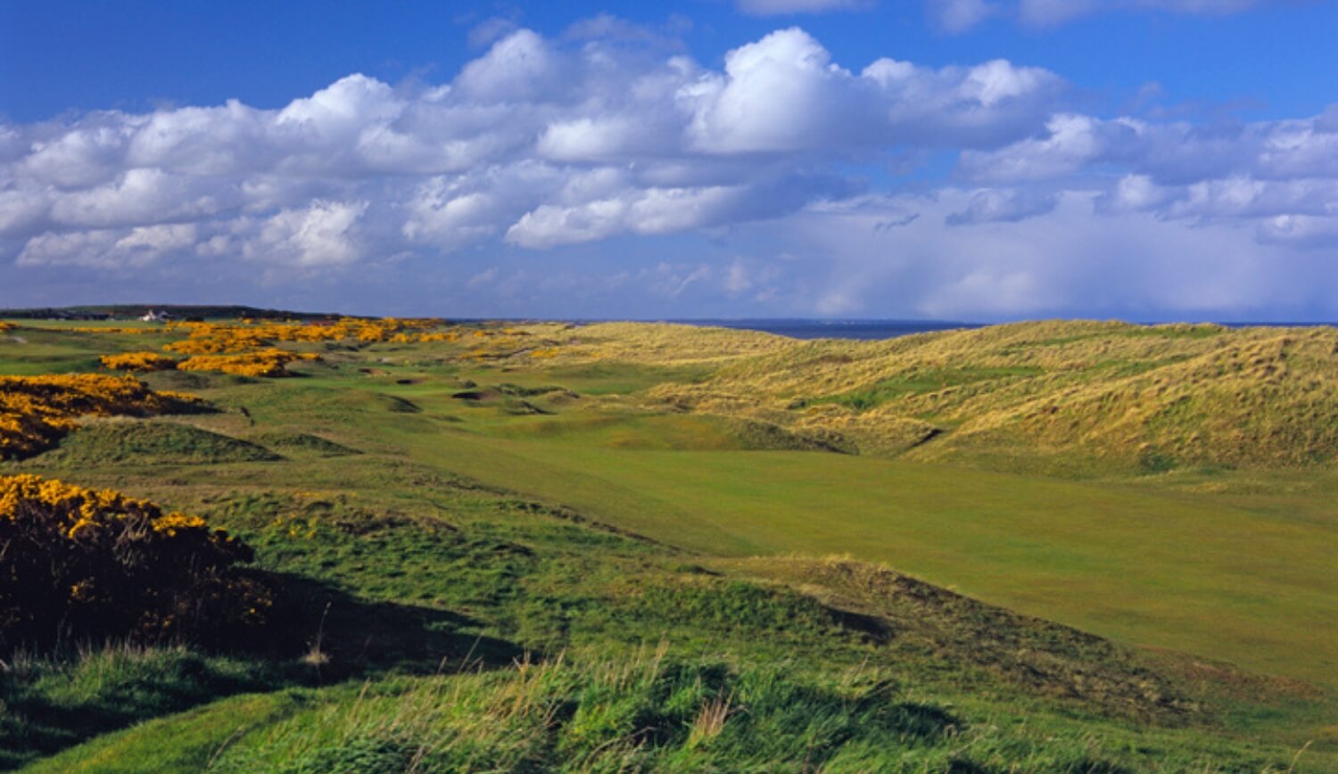 Royal Aberdeen